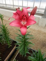 [4092 Cecina DJ No01.JPG]